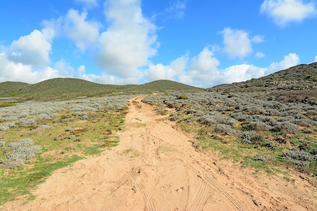 Dirt road and green hill in Argentiera Sardinia