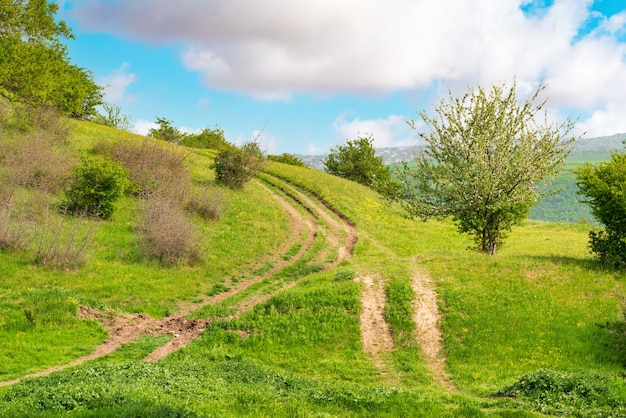 Dirt road on green hill