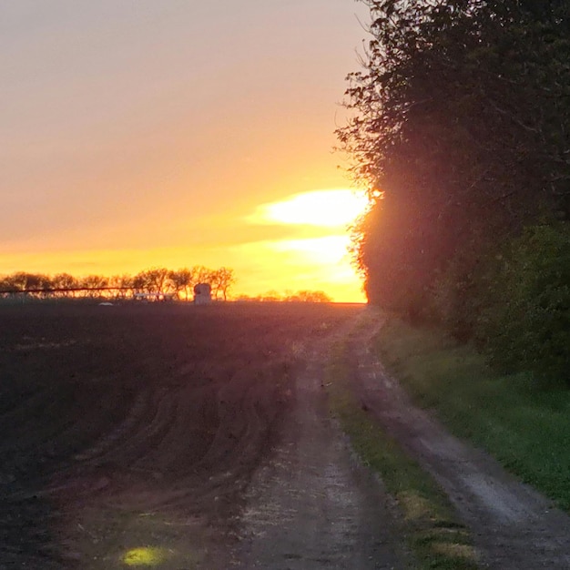 A dirt road is shown with the sun setting behind it.