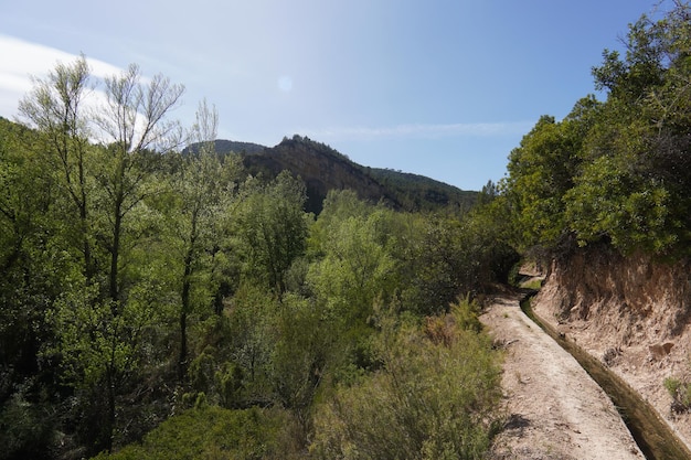 A dirt road in the mountains with trees and mountains in the background