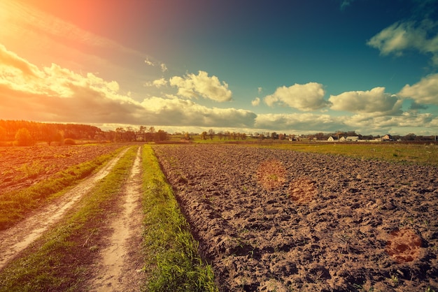 Dirt road on the plowed field at sunset