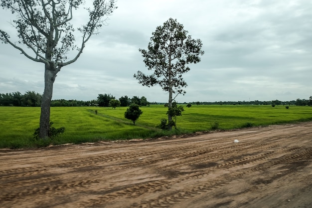 Dirt Road Of Red Soil