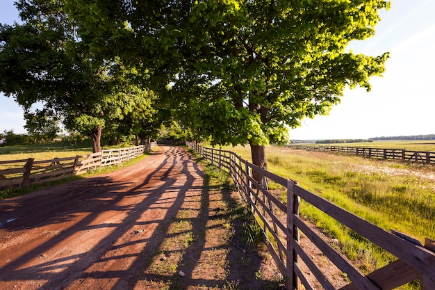 Dirt road in the rural area of the farm. enclosed by a wooden fence