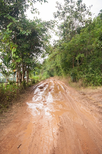 Photo dirt road in a rural area.