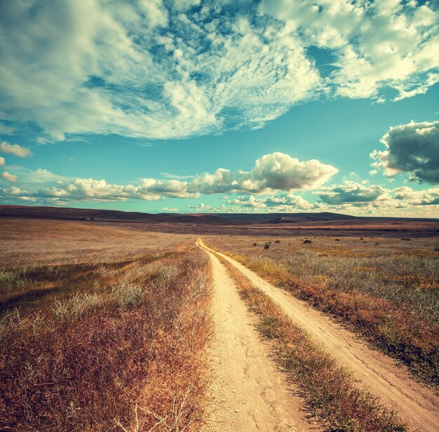 Dirt road in the steppe on a sunny day