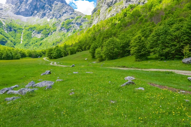 A dirt road through a picturesque plain among the high mountains