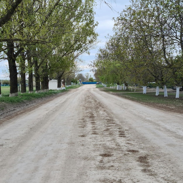 A dirt road with a blue fence and a white fence.