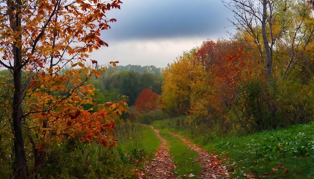 a dirt road with a tree on it and a cloudy sky in the background