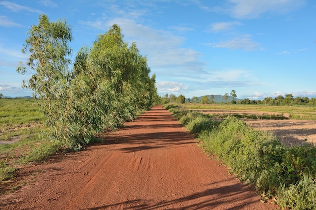 Dirt roads in rural Thailand With a tree 