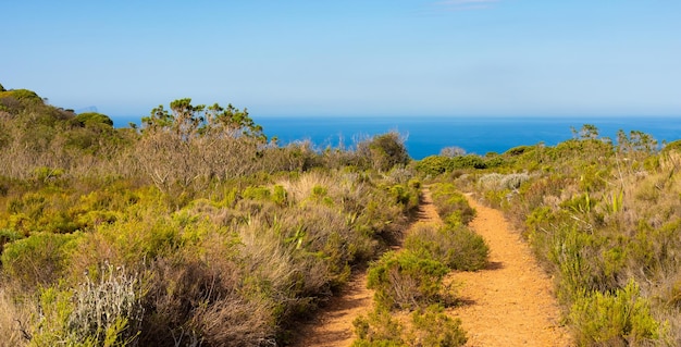 Dirt Track hiking paths on top of a mountain by the coast of Cape Town