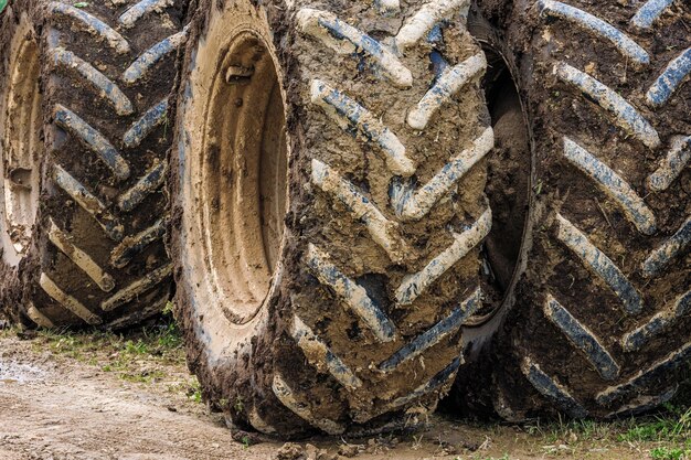 Dirty double wheels of agriculture tractor at sunny day