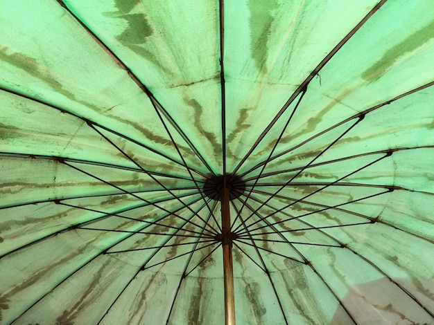 Dirty Green Umbrella viewed from Inside