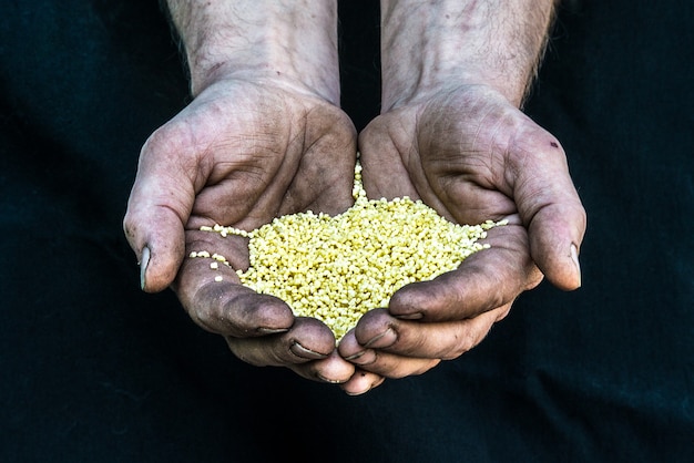 Dirty hands homeless poor man with cereal seeds illustrating hunger in modern capitalism society