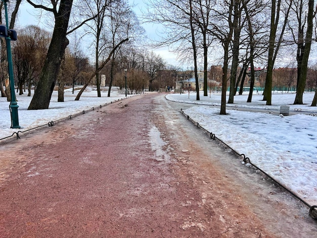 Dirty melting snow and slush on park lane on early Spring naked trees reflecting in puddle