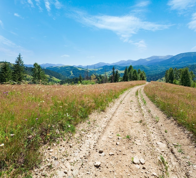 Dirty road through the evening flowering grassland in mountain Carpathian Ukraine