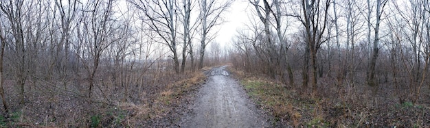 Dirty village road in the forest in late autumn after rain