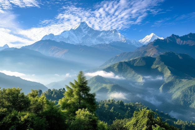 Discover the enchanting beauty of a morning mountain embraced by the soft morning light