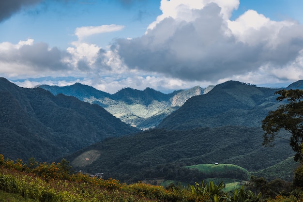 Discovering Thailand