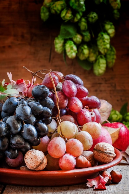 Dish with autumn fruits and nuts Still Life selective focus