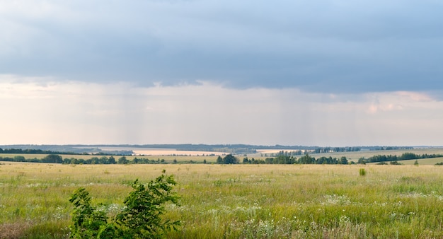 Distant rain in green fields