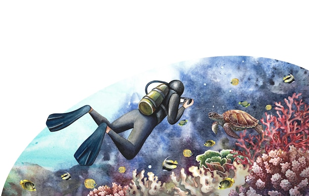 The diver swims underwater at the bottom of the sea Underwater travel