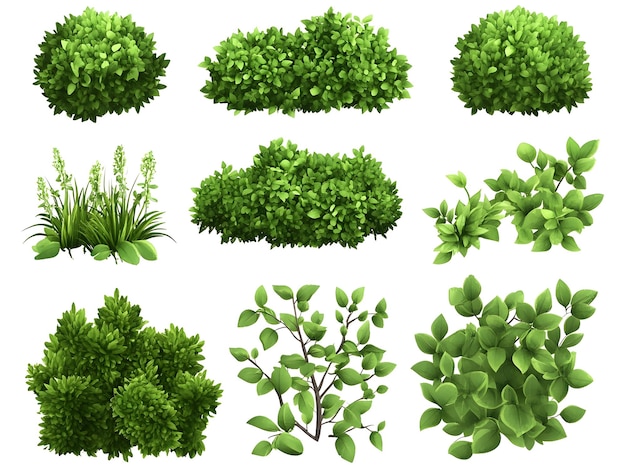 Photo diverse collection of lush green garden shrubs and foliage backdrop