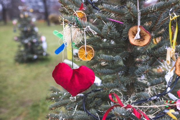 DIY decoration on Christmas tree Red heart dry apple and orange slices