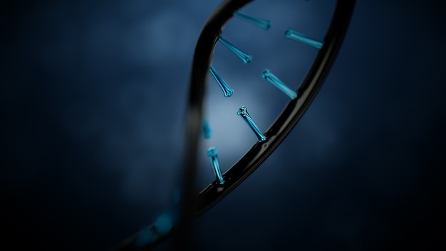 DNA helix