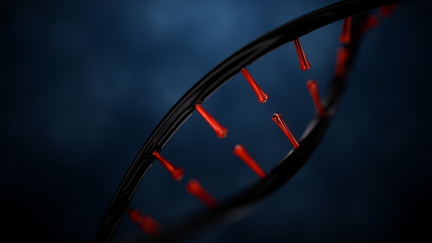 DNA helix