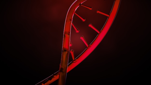 DNA helix