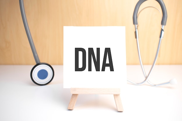 Dna sign on small wood board rest on the easel with medical stethoscope