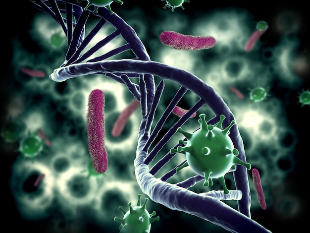 DNA structure, Bacteria  and HIV-infected