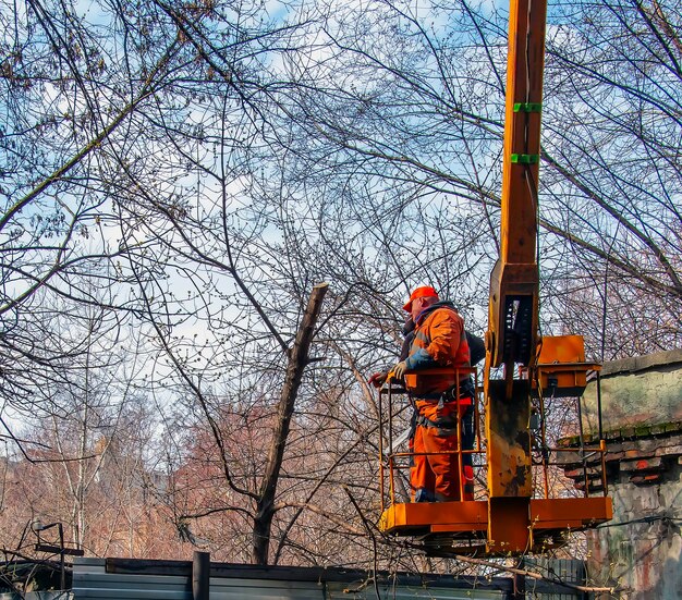 Dnepr Ukraine 03202024 workers stand with a chainsaw in a crane basket and trim dangerous trees