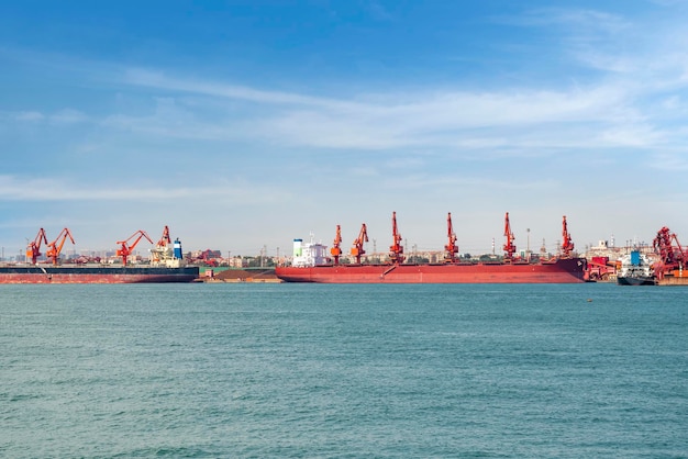 Dock cranes loading containers trade port shipping