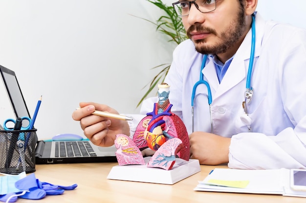 Doctor cardiologist while consultation showing anatomical model of human heart