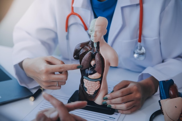 Doctor explaining heart to elderly patient Doctor explaining the heart model Doctors pen point to a model of the heart