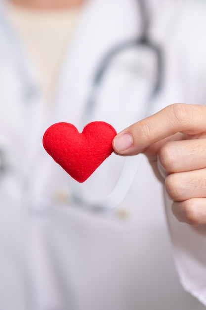 Doctor hand holding red heart shape in hospital love donor world heart day world health day CSR donation and Insurance concepts