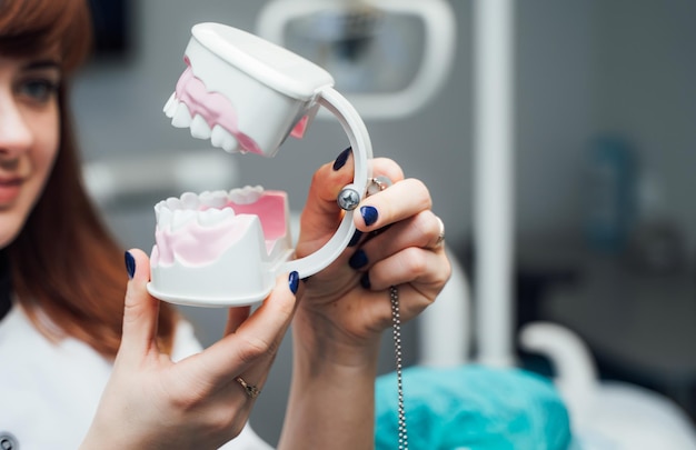 The doctor holds dental implants in hands Plastic jaw in the dentist's office Close Up