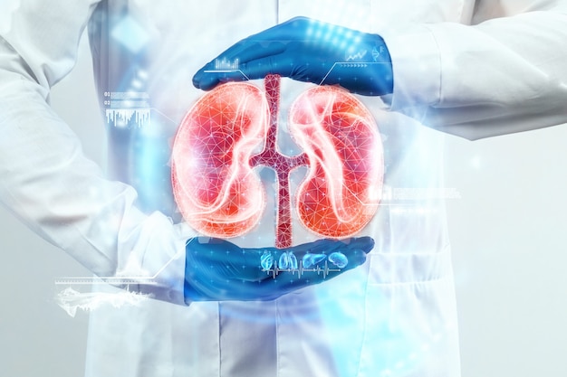 The doctor looks at the kidney hologram, checks the test result on the virtual interface and analyzes the data. Kidney disease, stones, innovative technologies, medicine of the future.