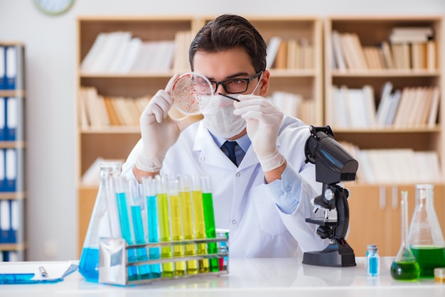 Doctor studying virus bacteria in the lab