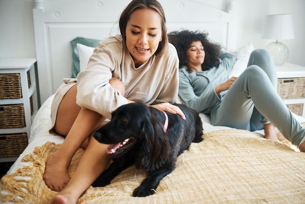 Dog bed and gay couple play in home morning and relax together in house Pet bedroom and lesbian women with animal sitting bonding or having fun in healthy relationship lgbtq connection and care