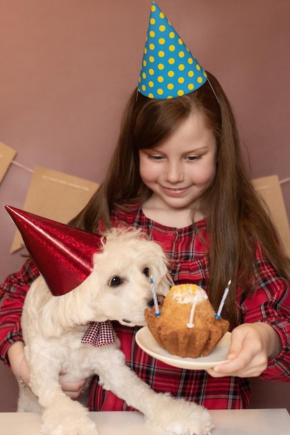 dog and child's birthday party dog party in a festive atmosphere party cap