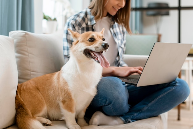 Dog on couch next to woman working on laptop