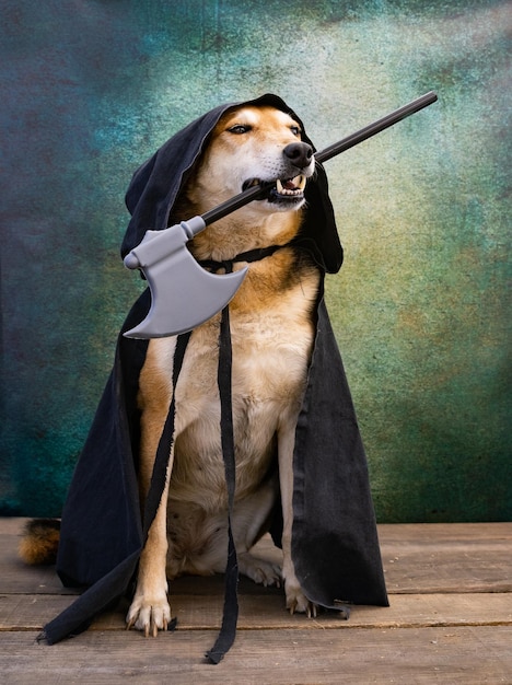 Dog dressed in a black cape with a hood and an ax in his mouth