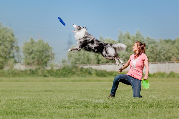 Dog frisbee Dog catching flying disk in jump pet playing outdoors in a park Sporting event achie