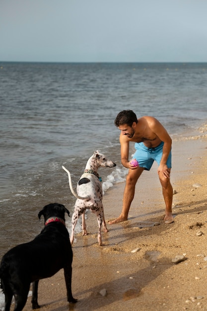 Dog having fun at the beach