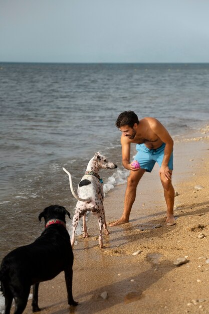 Photo dog having fun at the beach