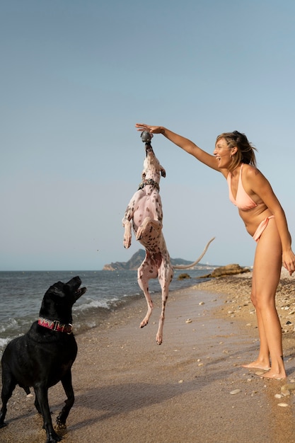 Dog having fun at the beach