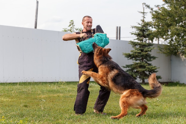 The dog instructor conducts the lesson with the German Shepherd dog. The dog protects its master.