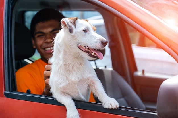 Dog jack russell sits in the car with his smiling owner